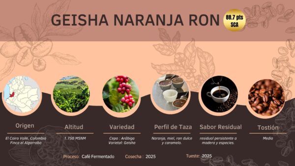 Pack 3 Cafés Exóticos Molidos 100g: Tabí Mandarina Ron, Geisha Naranja Ron y Tabí Anís - Imagen 4