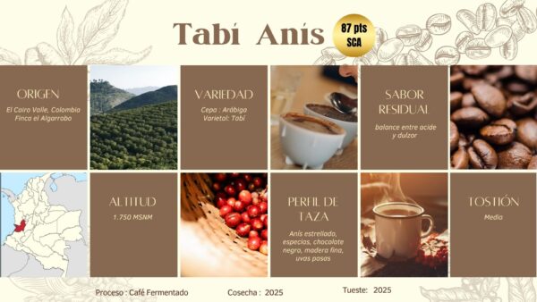 Pack 3 Cafés Exóticos Molidos 100g: Tabí Mandarina Ron, Geisha Naranja Ron y Tabí Anís - Imagen 3