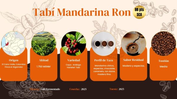 Pack 3 Cafés Exóticos Molidos 100g: Tabí Mandarina Ron, Geisha Naranja Ron y Tabí Anís - Imagen 2