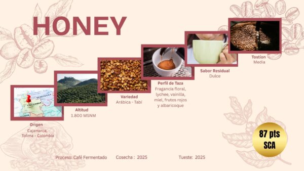 Café Exótico Honey en Grano de 100g - Imagen 2