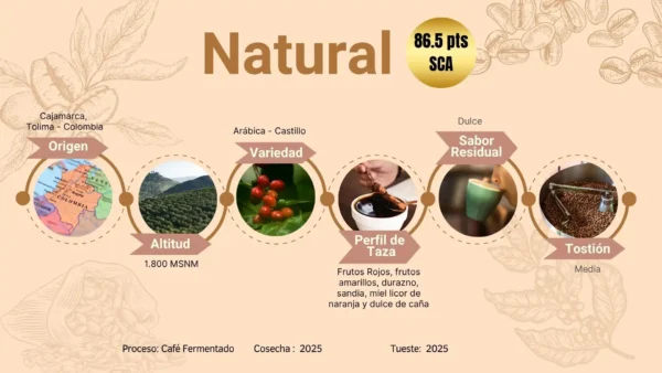 Café Exótico Natural en Grano de 100g - Imagen 2