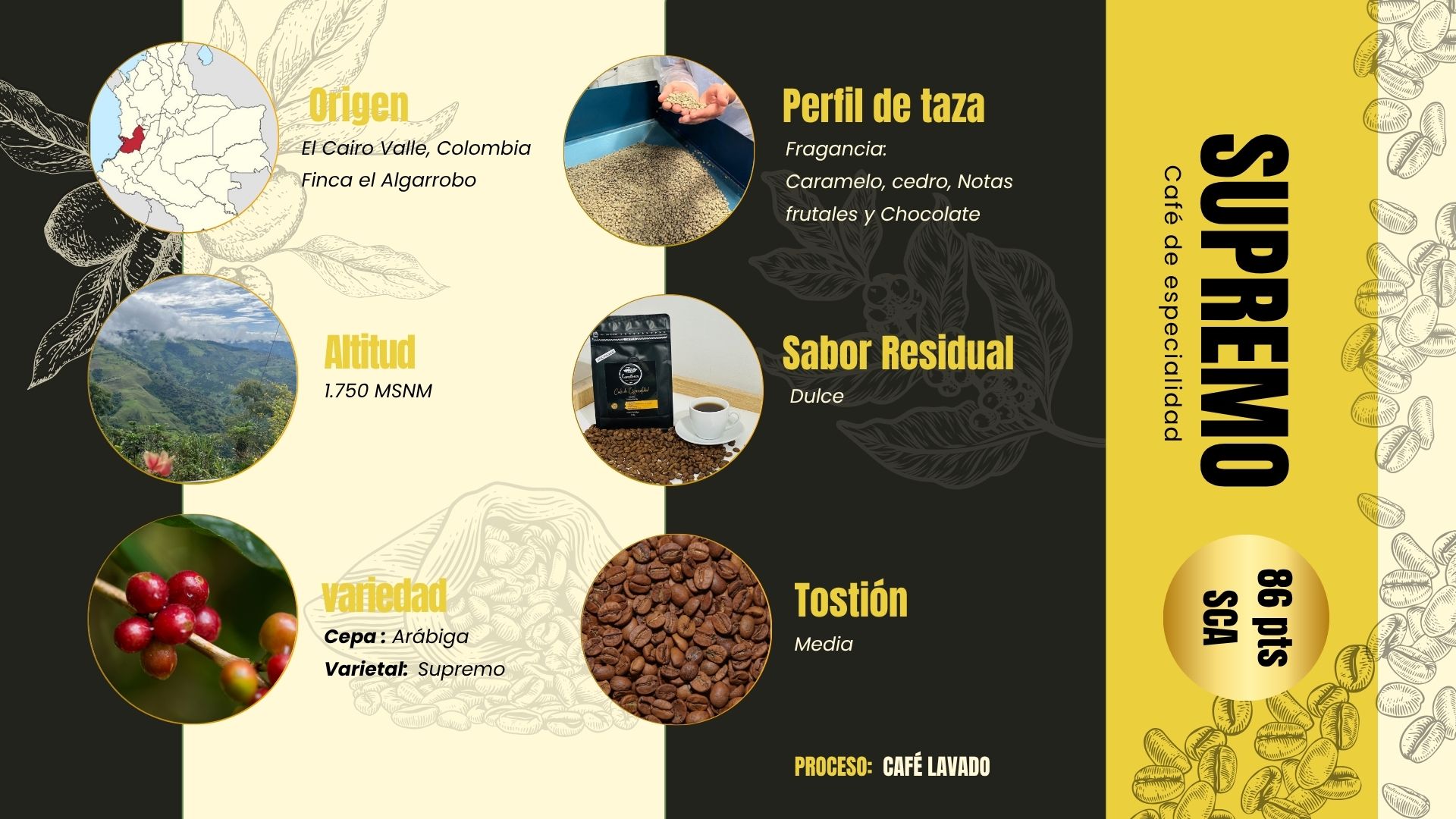 Café Supremo Descafeinado en Grano de 250g - Imagen 3