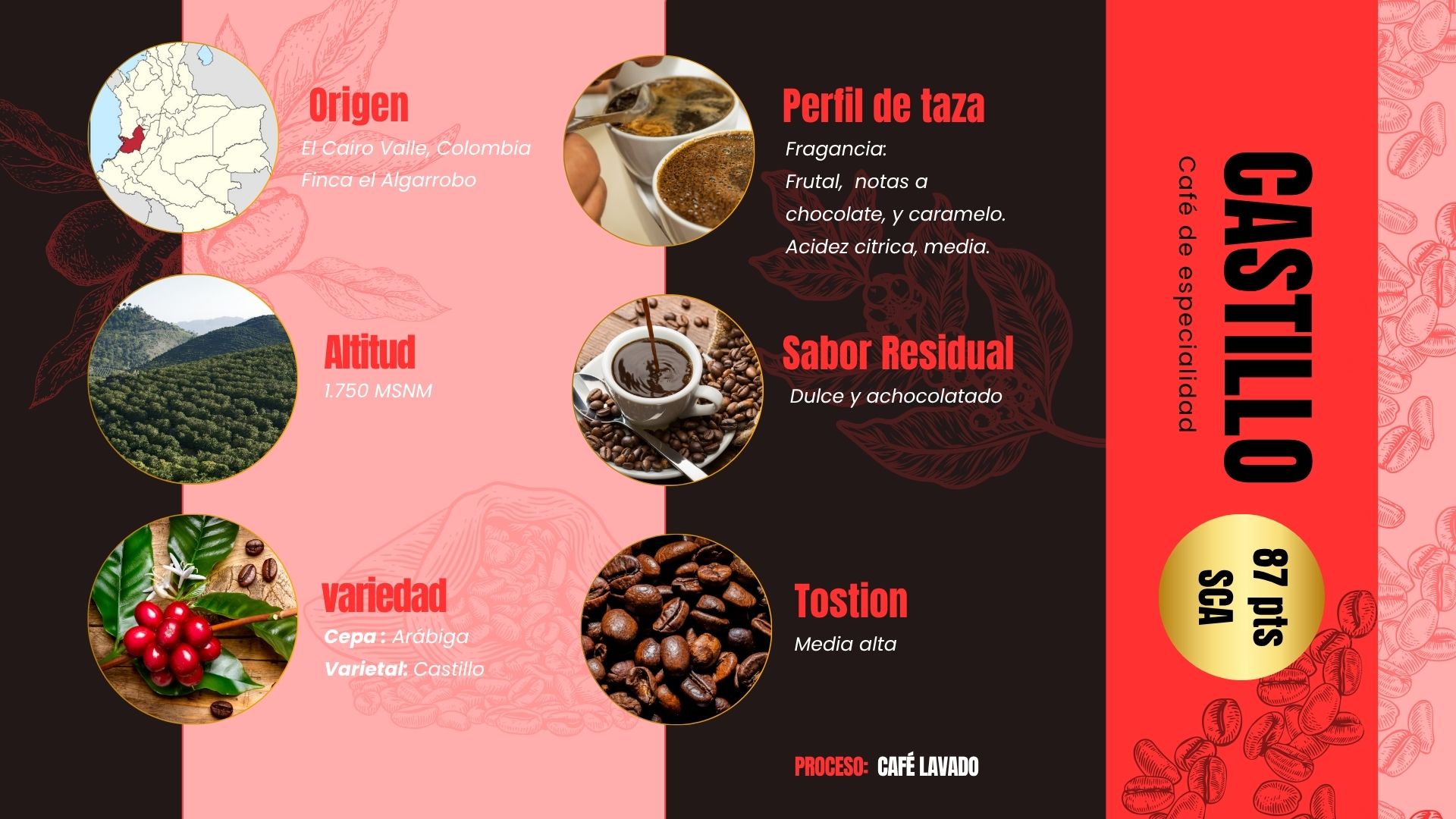 Pack Prensa & Café Castillo de 100g - Imagen 3