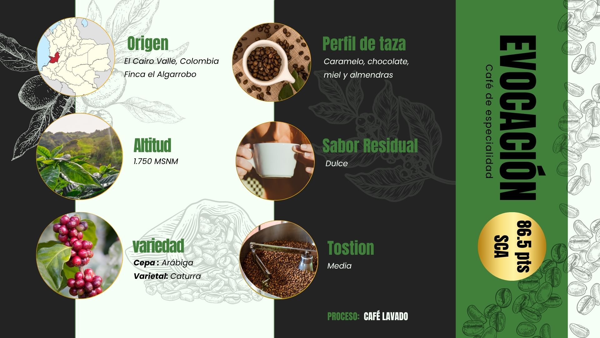 Pack Prensa & Café Evocación de 100g - Imagen 3