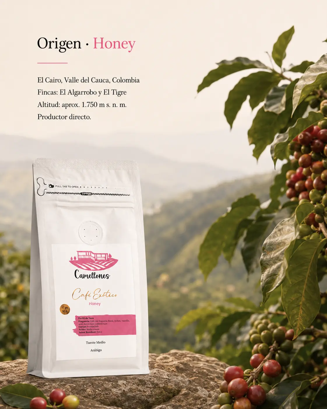 Café Honey - Imagen 5