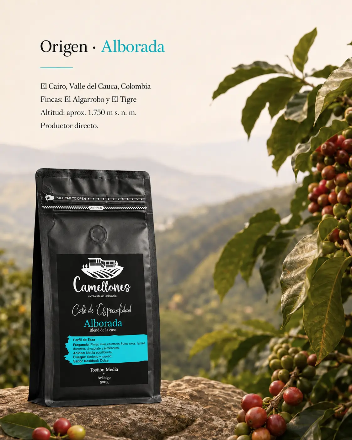 Café Alborada - Imagen 4